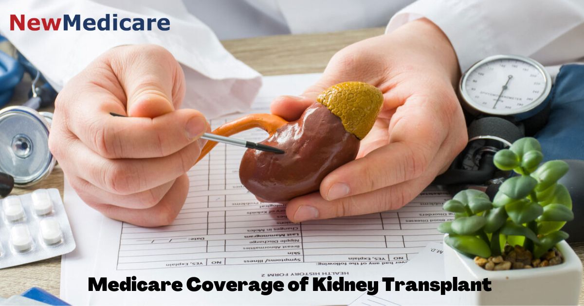 Medicare Kidney Transplant Your Ultimate Guide Get a Quote and